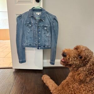 Chelsea & Violet Puff Sleeve Denim Jacket